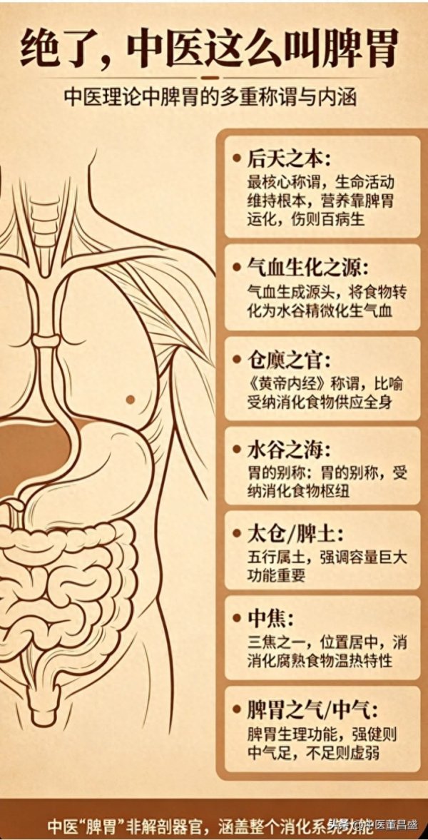 绝了, 中医这么 称脾胃