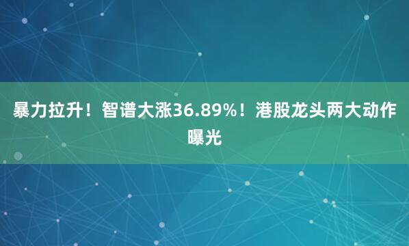 暴力拉升！智谱大涨36.89%！港股龙头两大动作曝光