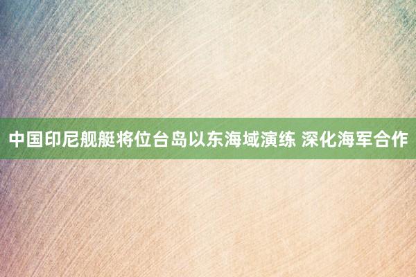 中国印尼舰艇将位台岛以东海域演练 深化海军合作