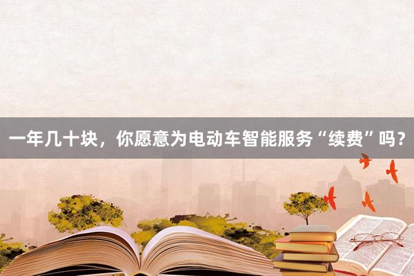 一年几十块，你愿意为电动车智能服务“续费”吗？