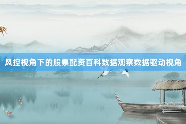 风控视角下的股票配资百科数据观察数据驱动视角