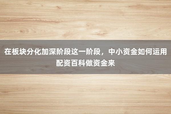 在板块分化加深阶段这一阶段，中小资金如何运用配资百科做资金来