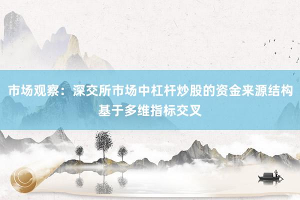 市场观察：深交所市场中杠杆炒股的资金来源结构基于多维指标交叉