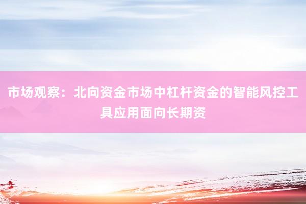 市场观察：北向资金市场中杠杆资金的智能风控工具应用面向长期资