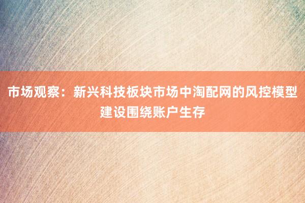 市场观察：新兴科技板块市场中淘配网的风控模型建设围绕账户生存
