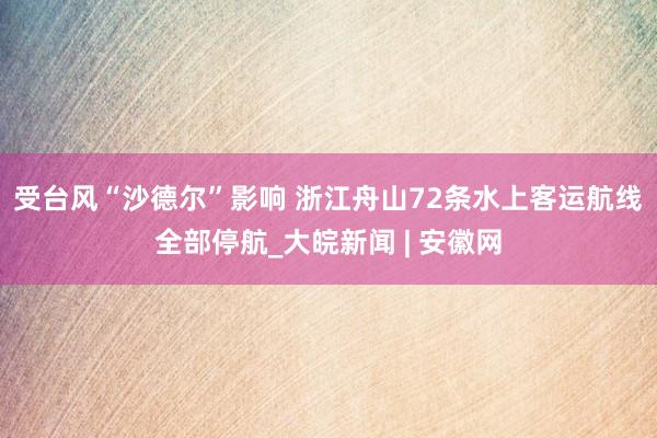 受台风“沙德尔”影响 浙江舟山72条水上客运航线全部停航_大皖新闻 | 安徽网