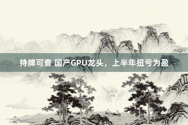 持牌可查 国产GPU龙头，上半年扭亏为盈