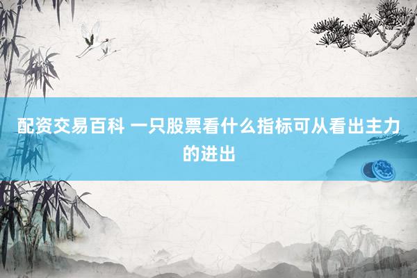 配资交易百科 一只股票看什么指标可从看出主力的进出
