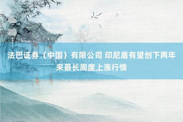 法巴证券（中国）有限公司 印尼盾有望创下两年来最长周度上涨行情