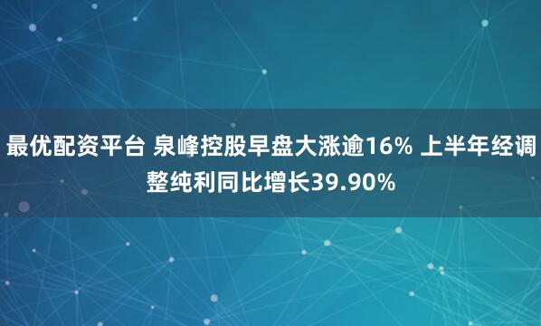 最优配资平台 泉峰控股早盘大涨逾16% 上半年经调整纯利同比增长39.90%