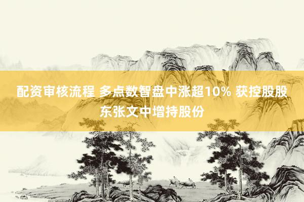 配资审核流程 多点数智盘中涨超10% 获控股股东张文中增持股份