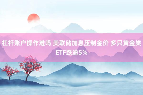 杠杆账户操作难吗 美联储加息压制金价 多只黄金类ETF跌逾5%