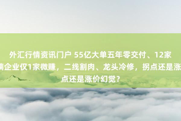 外汇行情资讯门户 55亿大单五年零交付、12家光伏玻璃企业仅1家微赚,二线割肉、龙头冷修,拐点还是涨价幻觉?