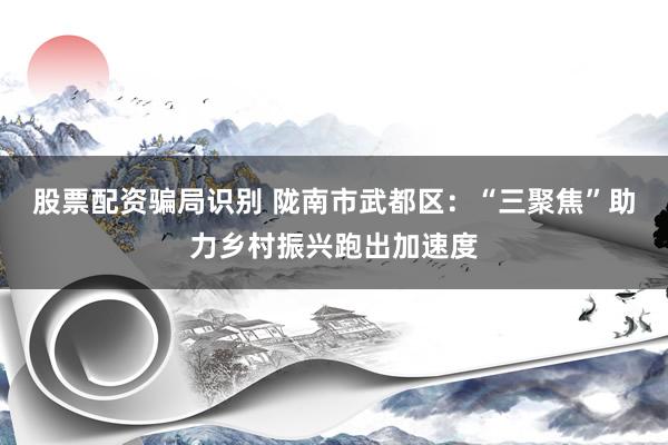 股票配资骗局识别 陇南市武都区：“三聚焦”助力乡村振兴跑出加速度