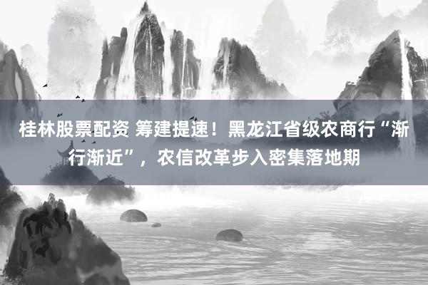 桂林股票配资 筹建提速！黑龙江省级农商行“渐行渐近”，农信改革步入密集落地期
