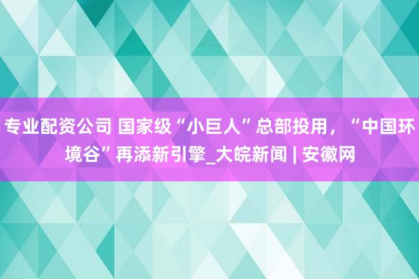 专业配资公司 国家级“小巨人”总部投用，“中国环境谷”再添新引擎_大皖新闻 | 安徽网